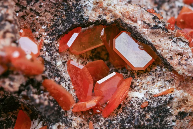 Written in the Deep: How a Gemstone's Geological Story Transforms the Way We Wear It