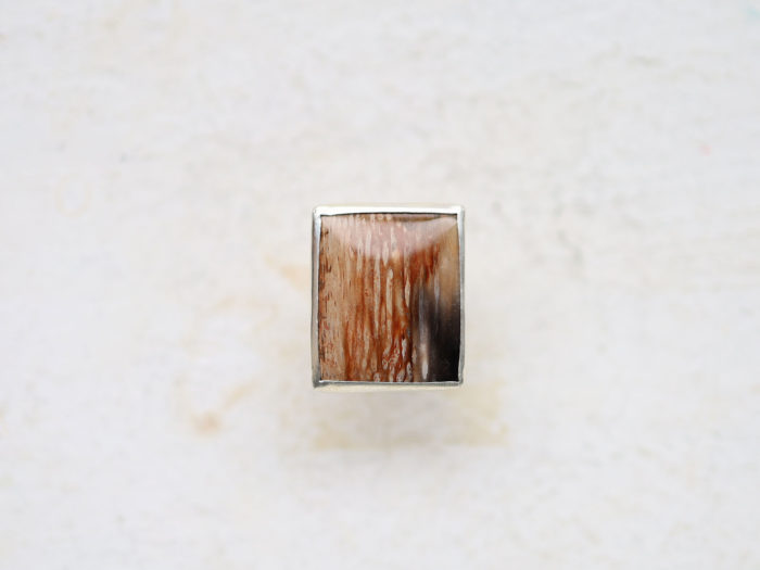 Petrified Palm Root Ring | Size 6